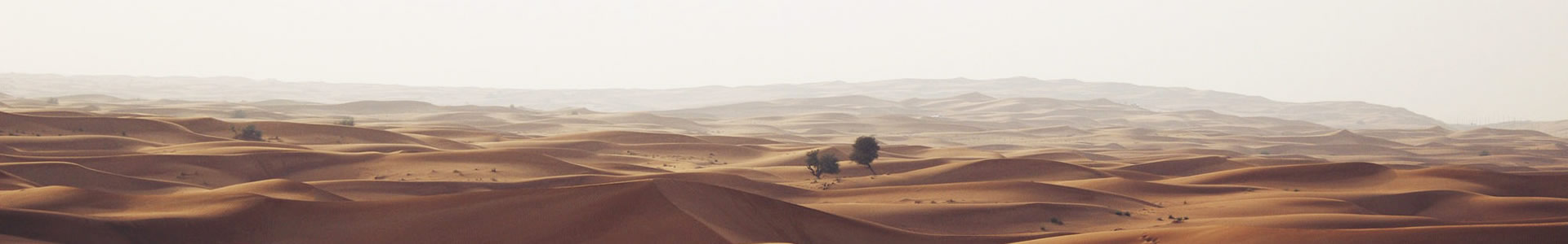 пɻе޹˾